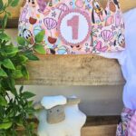 Corona de cumpleaños disney playera