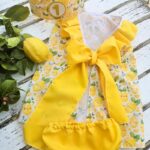 Vestido Frozen con corona de cumpleaños y braguitas